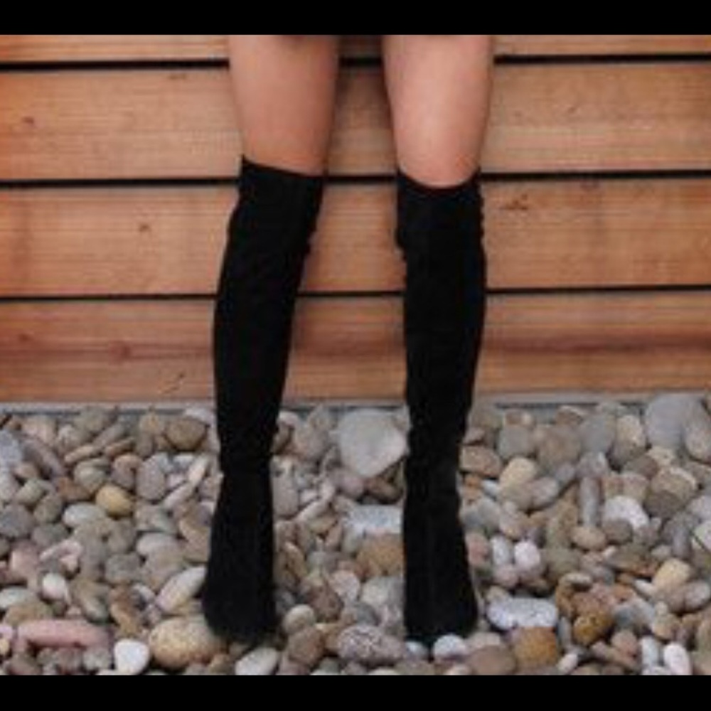 NIB Steve Madden Brewster Boots